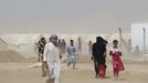 Refugiados iraquís en un campamento habilitado para acoger a los vecinos de la localidad de Faluya que huyen de losa combates entre las tropas regulares y los soldados del Estado Islámico.