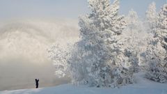 Una mujer hace fotos a orillas del ro Yensi, completamente cubierto de nieve y escarcha, a las afueras de Krasnoyarsk (Rusia).