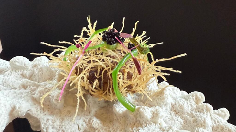 Elogio del Mar elaborado por C�digo 23