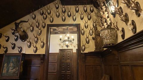 Trofeos de caza en una de las paredes del pazo de Meirs