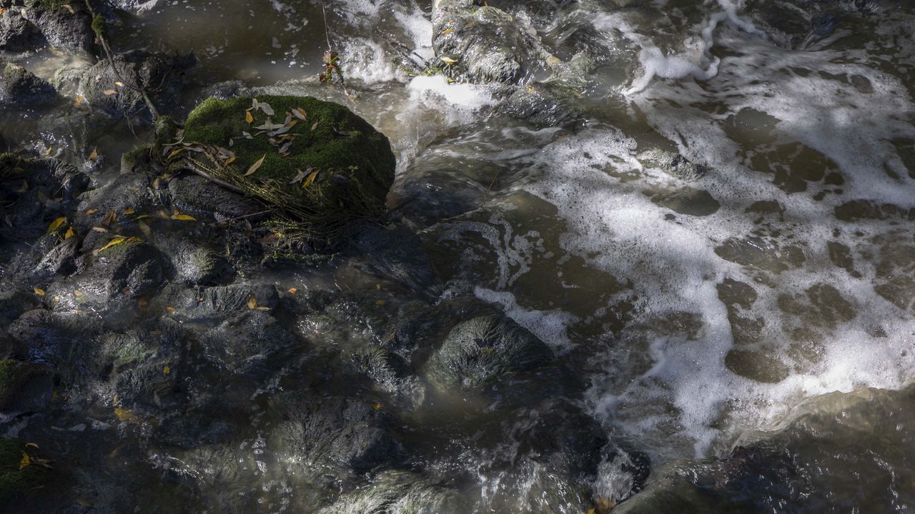 Premios de la AJE 2025 en Pontevedra.Participantes del proyecto, durante una actividad.