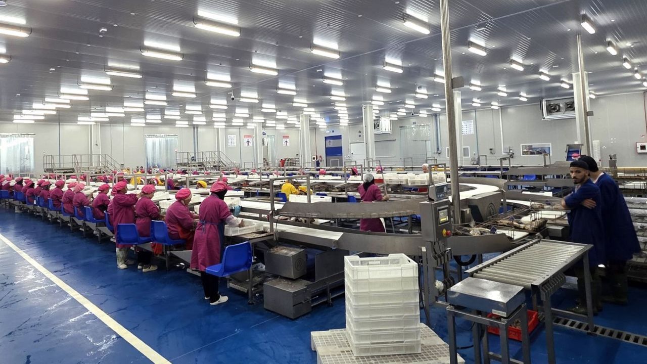 Protagonistas gallegos del 23F.La planta de Casablanca tiene capacidad para procesar 15.000 toneladas de at�n anuales.