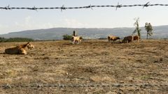 La imagen tomada en octubre pasado muestra un prado seco de San Mamede, en O Pramo.