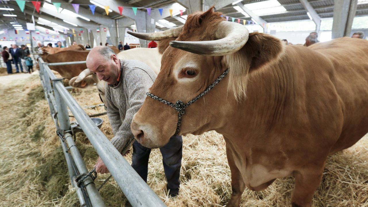 Homenaje a Germ�n Mac�a, s�mbolo de la lucha contra la ELA