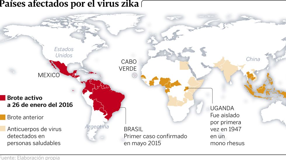 El zika afecta ya a 24 países en su avance «de forma explosiva»