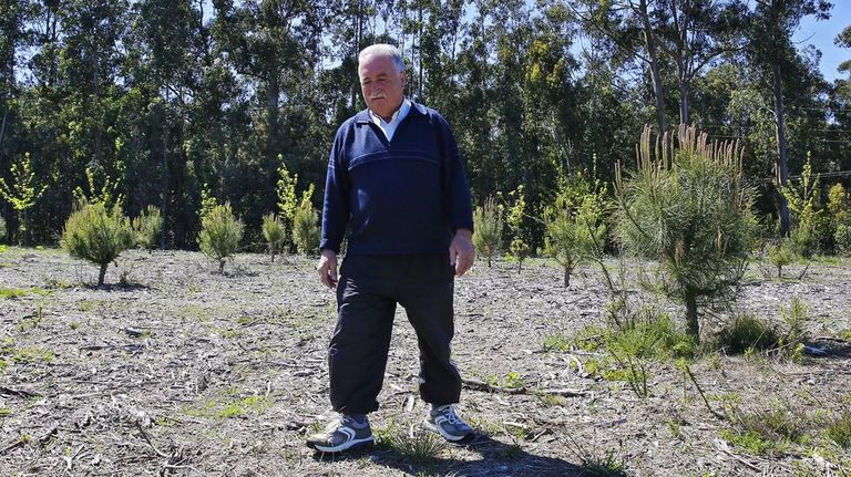 Fernando Pintos y Polo Correo do Vento, premios Cidade de Pontevedra