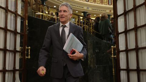 El ministro del Interior, Fernando Grande-Marlaska, durante una sesin plenaria en el Congreso