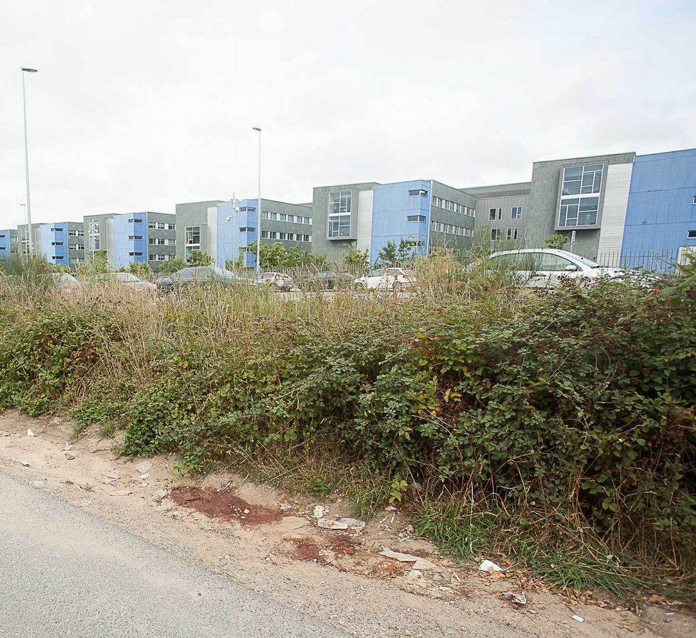 Restos de sangre del herido ante el HULA. 