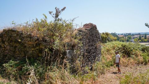 La telleira de Quintáns, comarca de Barbanza.