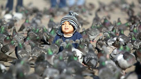 Un nio rodeado de cientos de palomas en la plaza San Marcos de Venecia