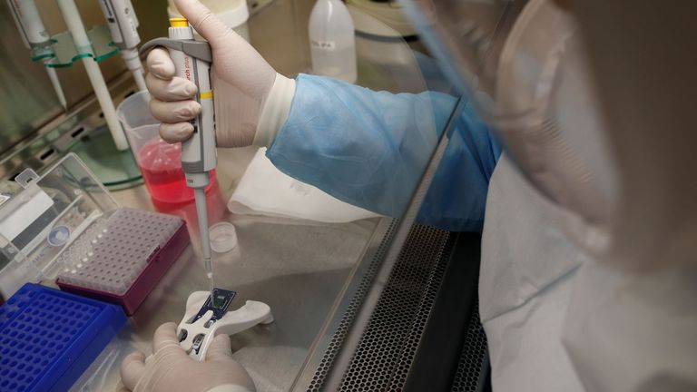 Test para la detección del coronavirus