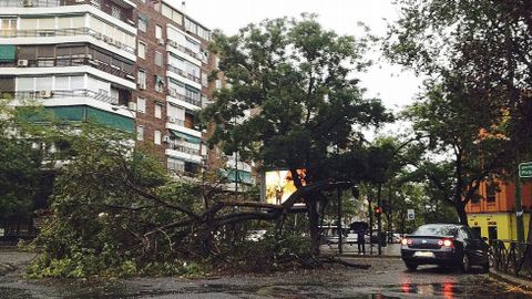 Una fuerte tormenta deja árboles caídos, cortes de luz y dos heridos en  Madrid