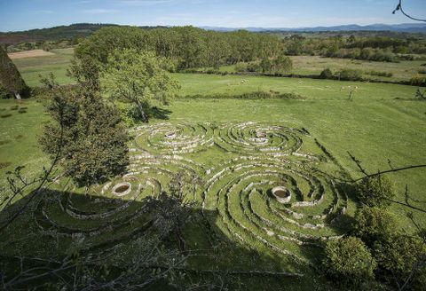 Una vista de conjunto del laberinto, formado por cuatro grandes estructuras espirales. 
