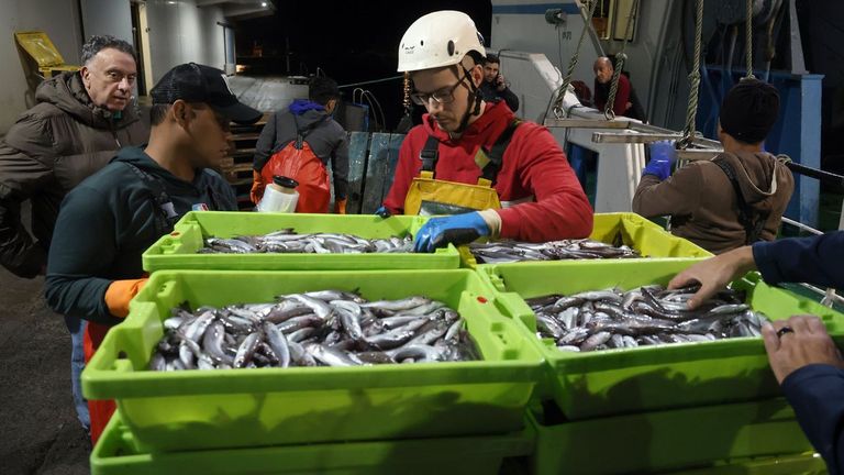 El arrastre de litoral protesta porque Pesca no le traspasa lirio de Gran Sol
