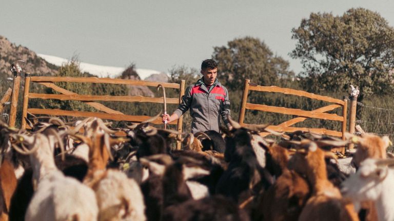 De estudiante de Psicología a pastor de cabras: «Vivo muy bien porque no tengo aspiraciones muy altas en la vida»