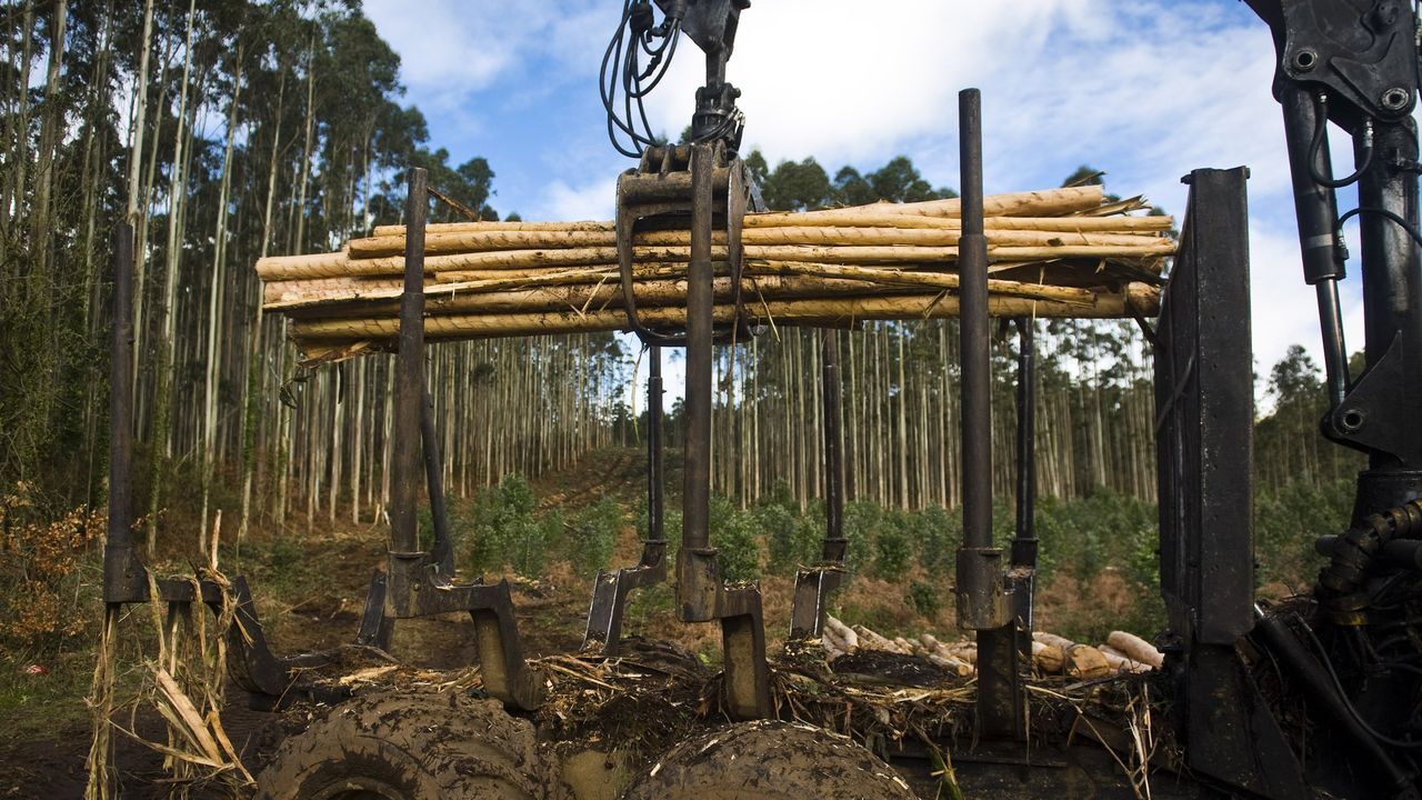 La nueva tienda de Zara Home, en im&aacute;genes.La constructora L&oacute;pez Cao invirti&oacute; 200.000 euros en la m&aacute;quina que fabrica los tabiques de hormig&oacute;n aligerado desarrollados por el consorcio formado con Naos, GalaiControl y la UDC. El nuevo sistema adelanta el fin de las paredes de ladrillo y la llegada del hogar digital