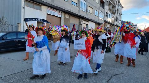 Viana acoge la mayor mascarada de la Pennsula Ibrica.El entroido de Celavente (O Bolo) en el desfile.