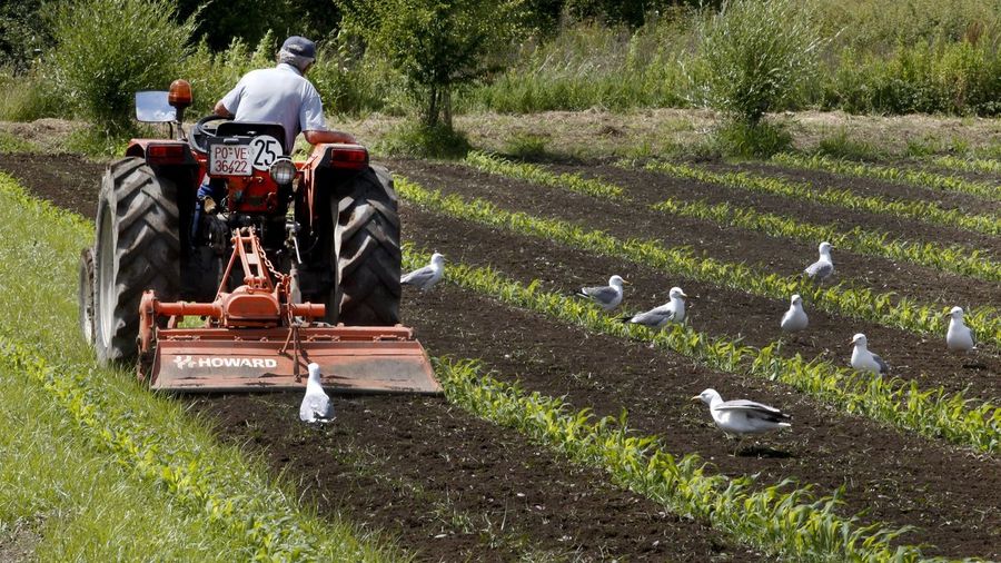 ¿Qué implica la cesión de derechos
