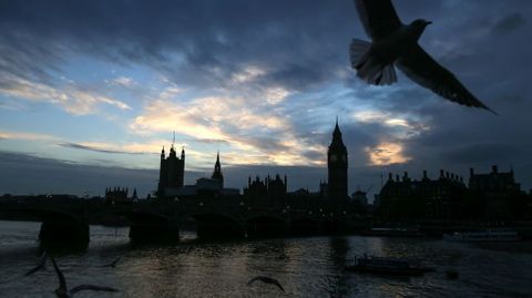 Varias gaviotas vuelal sobre el ro Tmesis con el palacio de Westminster al fondo