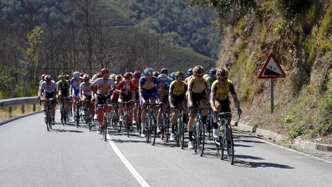  El pelotn ciclista, durante la decimoquinta etapa de la 74 edicin de la Vuelta a Espaa 2019, con salida en la localidad de Tineo y meta en el Santuario del Acebo