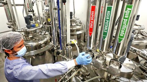 Hay varios procesos de purificación hasta que se obtiene el antígeno. En la imágen, uno de los técnicos de la planta de Biofabri.