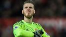 David De Gea.David De Gea, guardameta del Manchester United