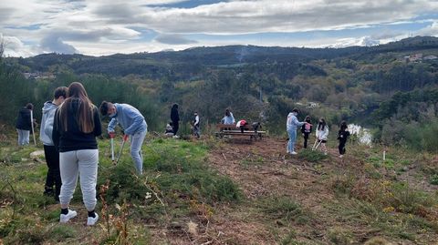 Alumnos del IES de Ponte Caldelas limpiando el monte y plantando árboles, en el entorno del centro educativo, en una imagen de archivo