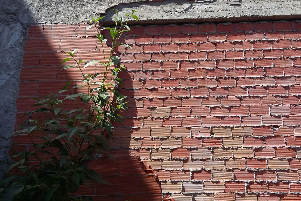Los cascotes, correspondientes a una pared medianera de un edificio, ocuparon buena parte de la finca en la que la anciana tiene la huerta.