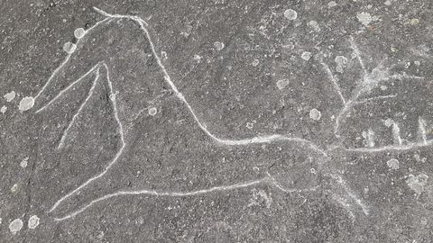 Petroglifo de Campo Lameiro daado con un objeto punzante