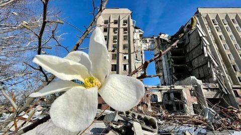 flores en Mykolaiv, junto a sede de la administración regional destruido en un bombardeo