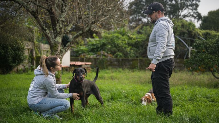 Un adiestrador canino tras el ataque de un perro potencialmente peligroso en Portonovo: «Hay un factor educacional en las mordeduras de los perros a personas»