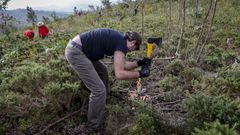El Laboratorio Ecosocial do Barbanza a travs de Fundacin Montescola eliminan los rebrotes de eucalipto en los Montes de Leiro