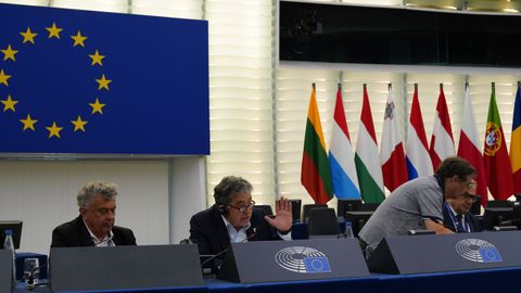 Intervención del alcalde de Pontevedra, Miguel Anxo Fernández Lores, en la sede del Europarlamento, en Estrasburgo