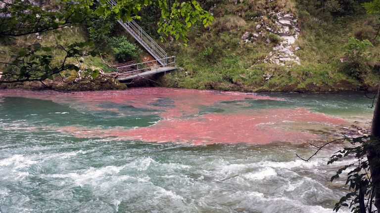 Vertidos de combustible al río Cares, en Niserias, como consecuencia del accidente de un cambión cisterna