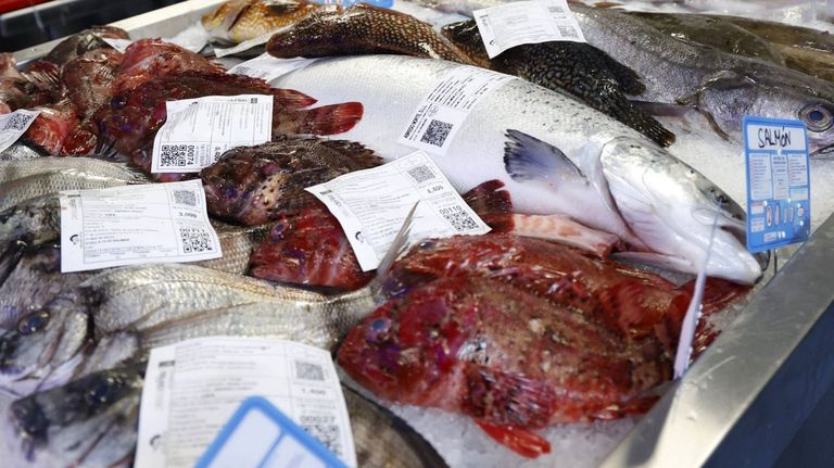 «Es injusto que los restaurantes no den información clave del pescado», se quejan pescaderos