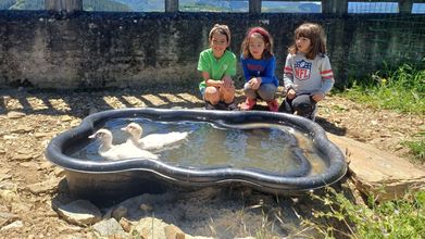 En el recinto escolar se instaló un pequeño estanque para patos