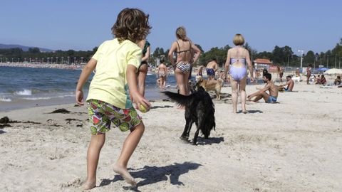Imagen de archivo de perros en una playa de Vigo
