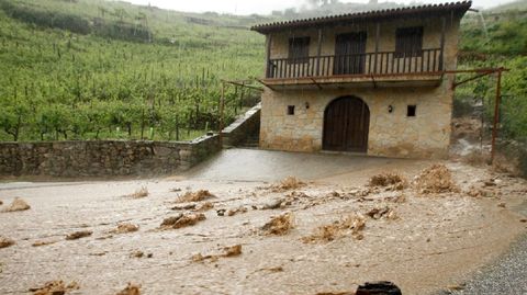 Efectos de la tormenta de granizo de junio del 2021 en el entorno de una bodega de la parroquia de San Fiz de Asma