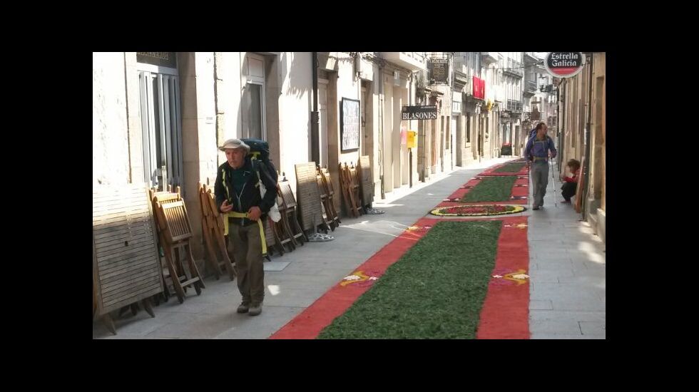 Alumnos del Gregorio Fern�ndez que organizan una exposici�n.