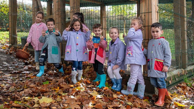 <span lang="gl">O colexio de Palas de Rei, un fogar acolledor para galiñas e árbores</span>