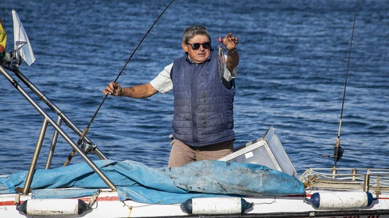 Llevan al Supremo por compleja la «app» española para declarar la pesca de recreo