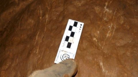 Marcas dejadas en la pared de una cueva de la sierra de O Courel por las garras de un oso pardo, en una imagen publicada en la guía que elaboró el Instituto Universitario de Xeoloxía de A Coruña