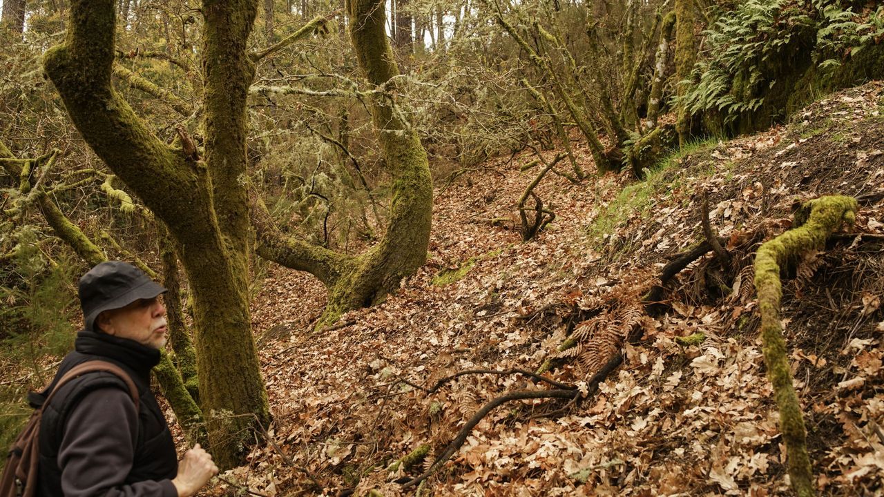 Ruta por el bosque de Ridimoas.Una de las actuaciones ser la de Irma Macas, vocalista de Luar na Lubre 