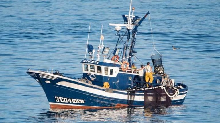 Barco Gaviota