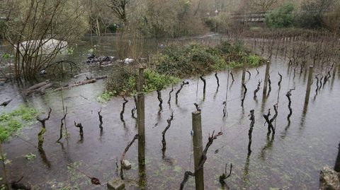 Inundaciones en la provincia de Ourense.La crecida del río Outeiro inundó Francelos (en Ribadavia)