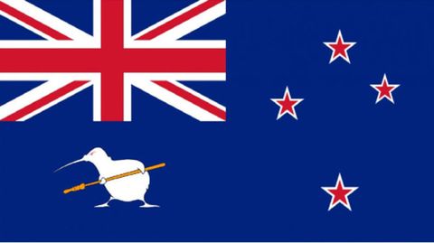 El kiwi siempre logra mejorar cualquier diseo, aunque sea el mismo que la bandera ya existente. Y si est amenazando a los intrusos, mejor. (Diseado por Graham McCarthy)