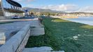 Uno de los episodios ms graves de una marea verde en la playa de Os Areos de A Pobra
