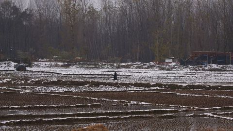 Un hombre camina en un campo de arroz parcialmente cubierto de nieve en la India