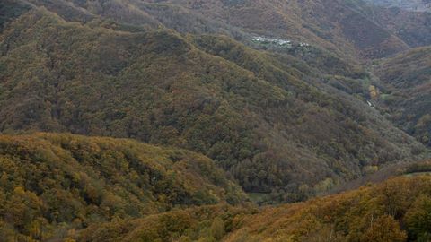 Una vista del bosque de la Devesa da Rogueira en una imagen tomada en otoño