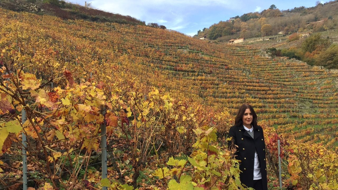 Un rea nica.La escritora Dolores Redondo en uno de los paisajes vitcolas de la Ribeira Sacra en los que se inspira su novela